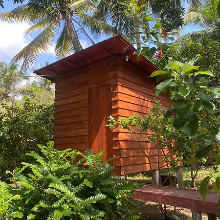 Coco Cabins By Thush Bentota Exterior foto