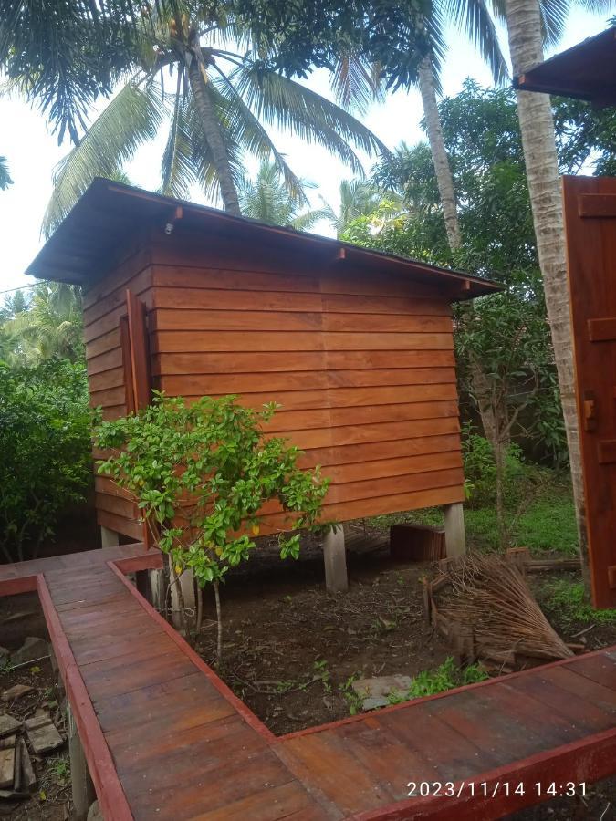 Coco Cabins By Thush Bentota Exterior foto