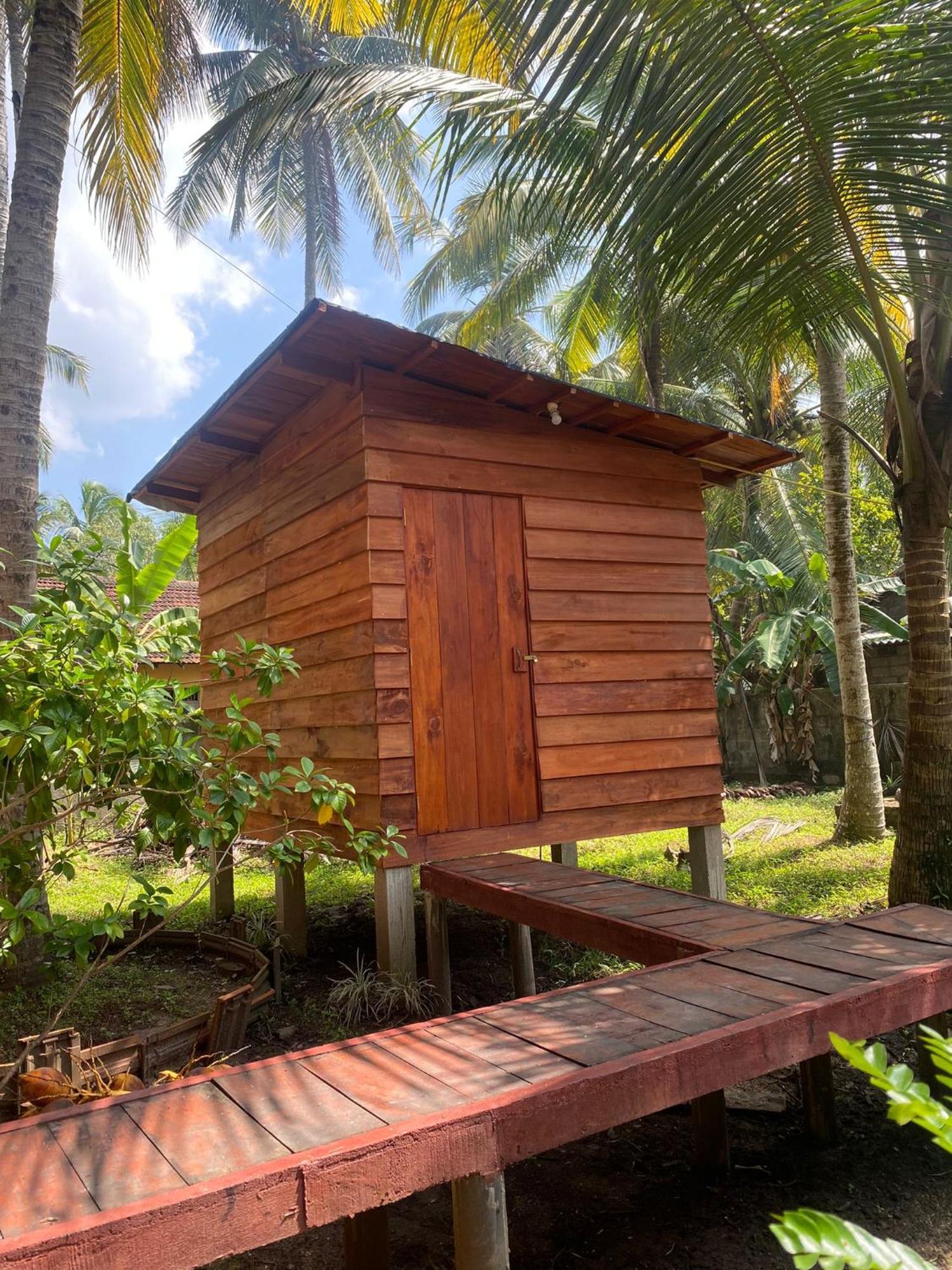 Coco Cabins By Thush Bentota Exterior foto