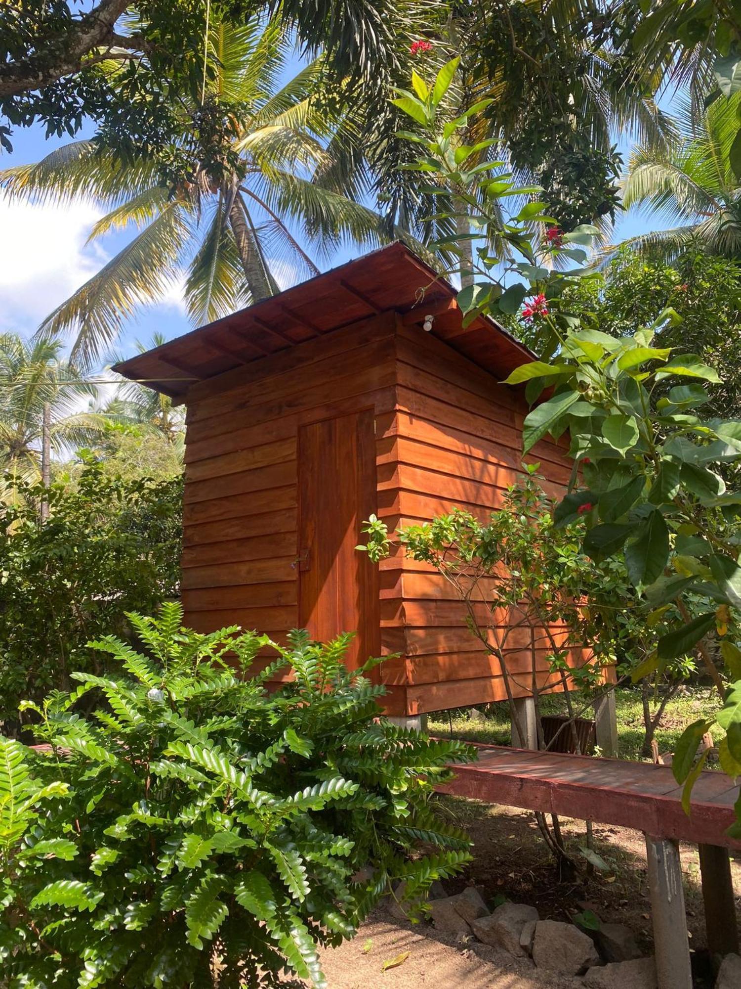 Coco Cabins By Thush Bentota Exterior foto