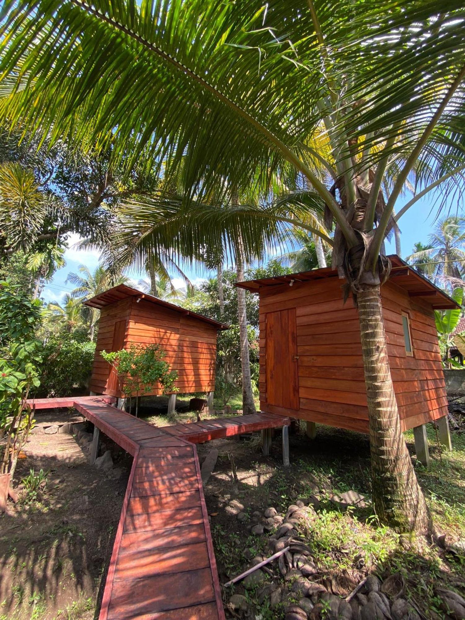 Coco Cabins By Thush Bentota Exterior foto